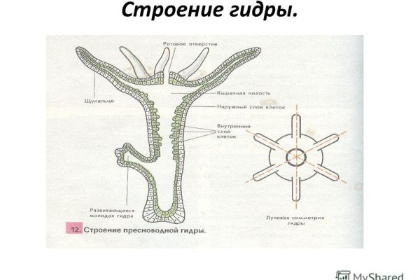 Кракен маркет что