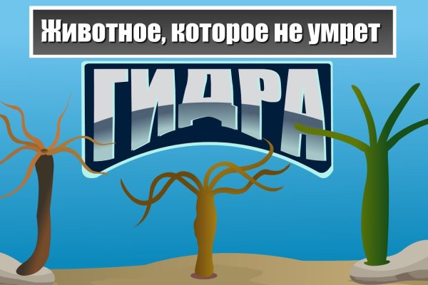 Kraken найдется все